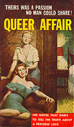Queer Affair book cover