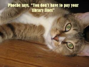 Phoebe says, you don't need to pay fines