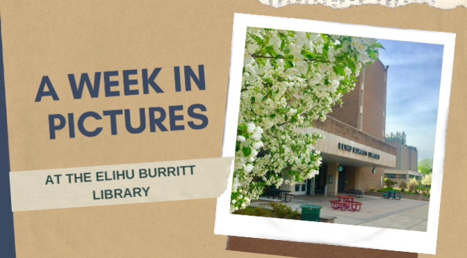 Front page of The Burritt Connection Library Newsletter, labelled "A week in pictures" with a photo of the front of the library