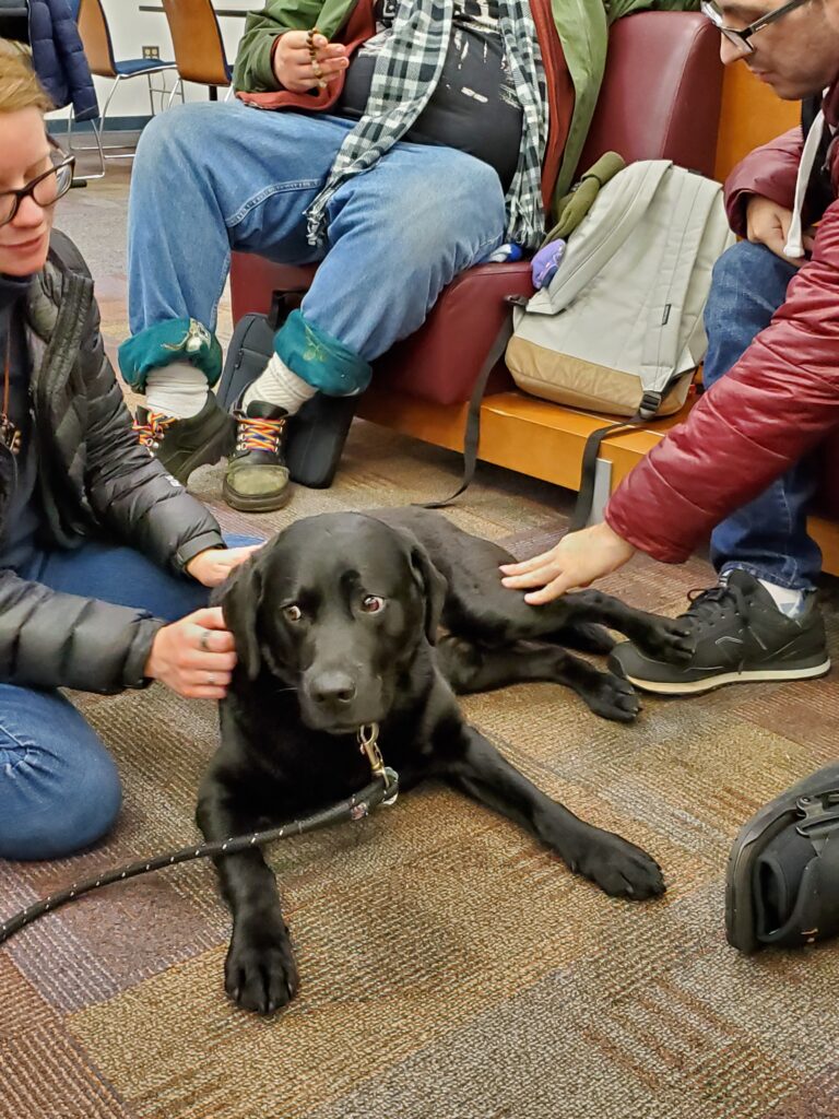 Barkley, the black lab, being petted by students in a prior therapy dog session at the library